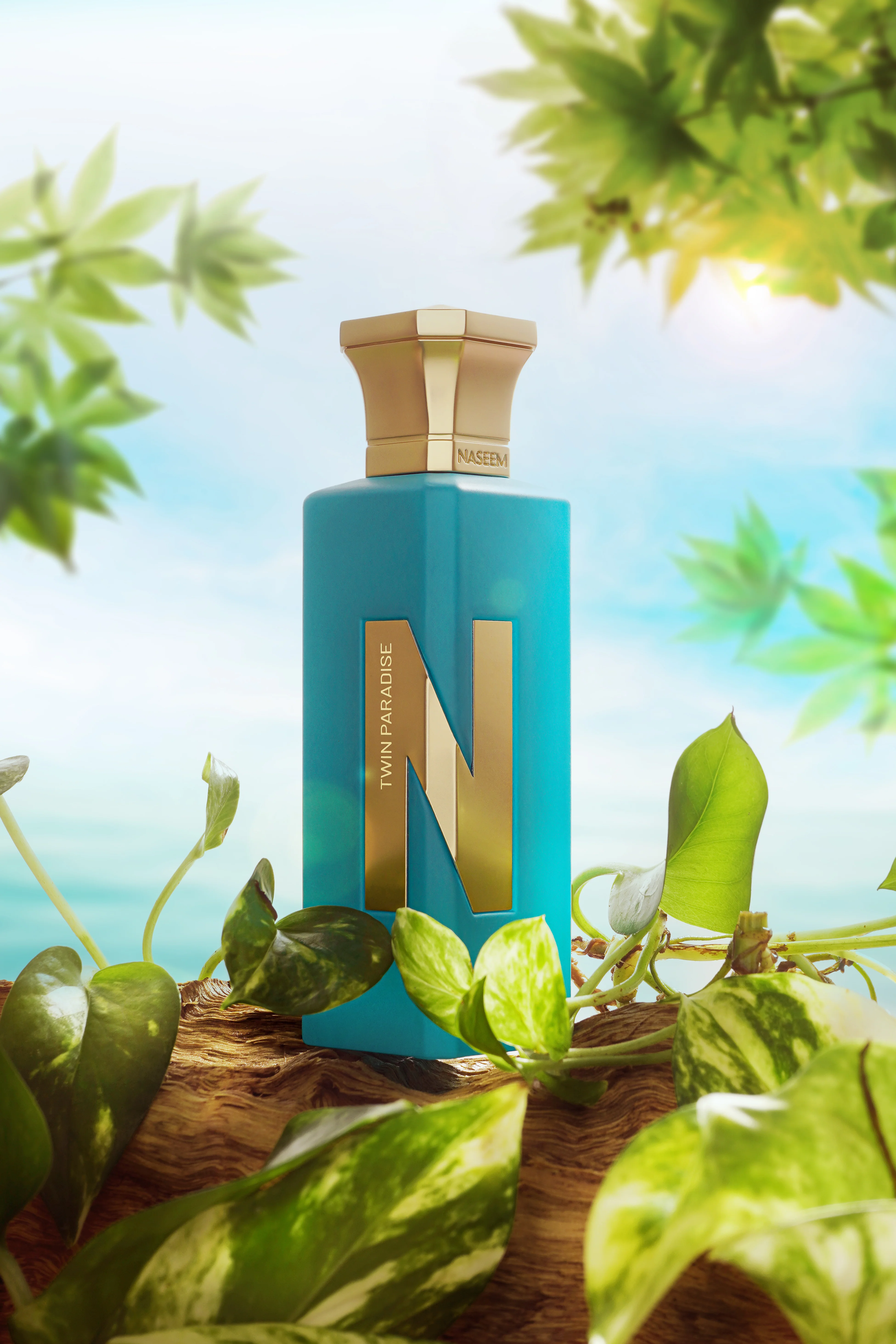TWIN PARADISE - Image 2
